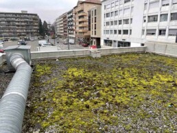 Toiture non entretenue, grosses mousses très développées à Annemasse